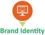 Brand identity design - company branding and visual identity
